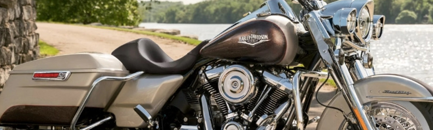 A grey Harley-Davidson® FLHR Road-King® parked next to a river.